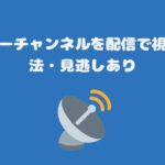 ミステリーチャンネルを配信で視聴する方法・見逃しあり