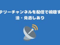 ミステリーチャンネルを配信で視聴する方法・見逃しあり