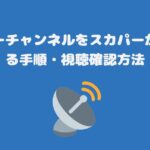 ミステリーチャンネルをスカパーから視聴する手順・視聴確認方法