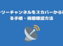 ミステリーチャンネルをスカパーから視聴する手順・視聴確認方法