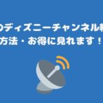 スカパーのディズニーチャンネル料金と視聴方法・お得に見れます！