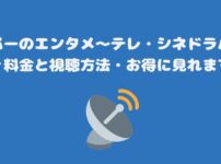 スカパーのエンタメ～テレ・シネドラバラエティ料金と視聴方法・お得に見れます！