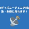 スカパーのディズニージュニア料金と視聴方法・お得に見れます！