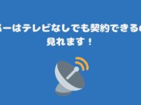 スカパーはテレビなしでも契約できるのか？見れます！