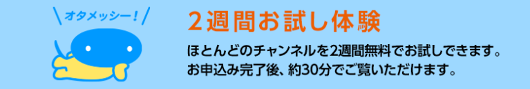 14日間の無料体験を使う