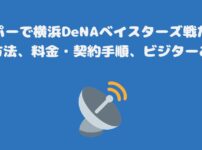 スカパーで横浜DeNAベイスターズ戦だけ見る方法、料金・契約手順、ビジターあり