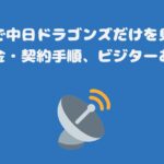 スカパーで中日ドラゴンズだけを見る方法・料金・契約手順、ビジターあり