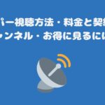 F1のスカパー視聴方法・料金と契約するべきチャンネル・お得に見るには？