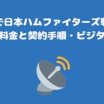 スカパーで日本ハムファイターズ戦だけ見る方法、料金と契約手順・ビジターあり