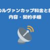 スカパーのルヴァンカップ料金と放送・配信内容・契約手順