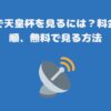 スカパーで天皇杯を見るには？料金、契約手順、無料で見る方法