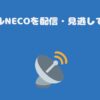 チャンネルNECOを配信・見逃しで見る方法