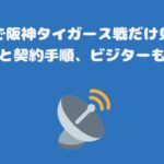 スカパーで阪神タイガース戦だけ見る方法・料金と契約手順、ビジターもあり