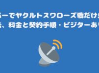 スカパーでヤクルトスワローズ戦だけ見る方法、料金と契約手順・ビジターあり