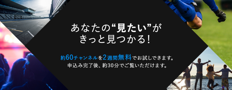 2週間無料体験