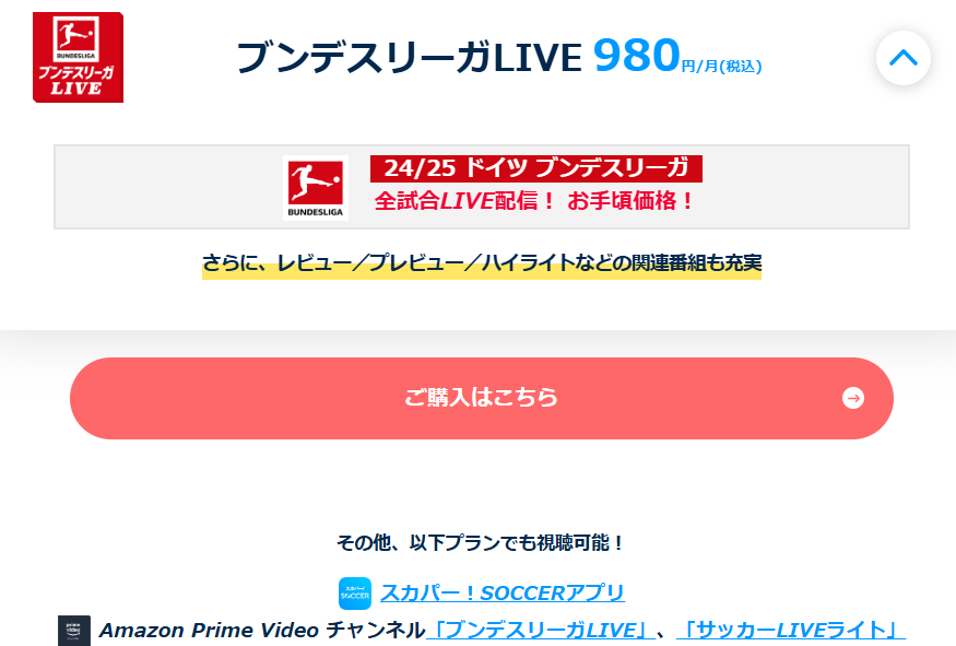 スカパー サッカーセット980円はブンデスリーガLIVE