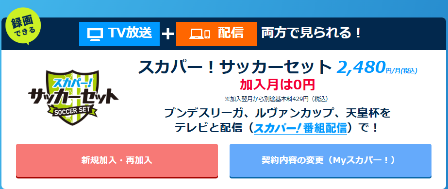 スカパーでルヴァンカップを見る場合の料金